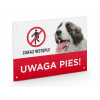 TABLICZKA TABLICA UWAGA PIES, ostrzegawcza !