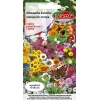 MIESZANKA KWIATÓW WABIĄCYCH MOTYLE NASIONA