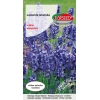 LAWENDA LEKARSKA wąskolistna nasiona