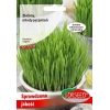 Zielony Jęczmień Nasiona 30g bomba witaminowa