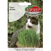 Trawa dla kota nasiona 30g