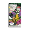 Zatrwian wrębny mieszanka KOLORÓW Nasiona
