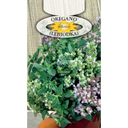 OREGANO lebiodka nasiona przyprawa ziół