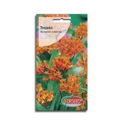 Trojeść Pomarańczowa Cudo Na Rabacie Nasiona