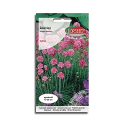 ZAWCIĄG nadmorski różowy nasiona