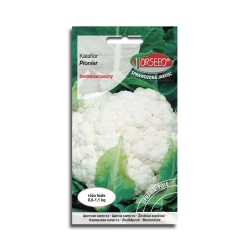 Kalafior wczesny PIONIER nasiona warzyw 1g