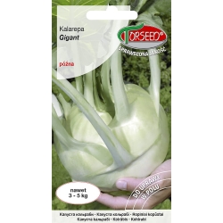 Kalarepa Gigant Smaczna Nasiona