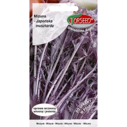 MIZUNA CZERWONA NASIONA Wytrzymuje przymrozki