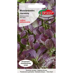 MUSZTARDOWIEC CZERWONY kapusta sitowata nasiona