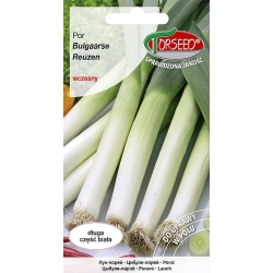 Por Bulgaarse Reuzen wczesny nasiona Torseed