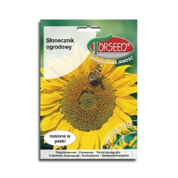 SŁONECZNIK OGRODOWY JADALNY nasiona
