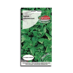 Szpinak Nowozelandzki nasiona szpinaku