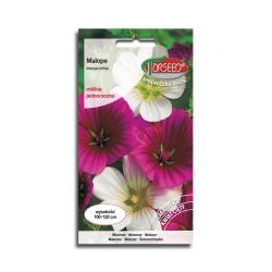 Nasiona Kwiatów Malope mieszanka