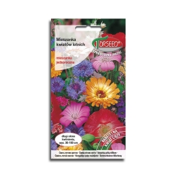 LETNIA MIESZANKA nasiona kwiatów różne odmiany