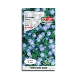 Porcelanka niebieska Nasiona Kwiatów