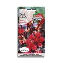 Rącznik czerwonolistny-PIEKNE LIŚCIE Nasiona