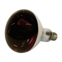 Żarówka, Lampa Grzewcza 250 W Czerwona