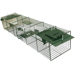 Pułapka, żywołapka na łasicę, tchórza, kunę duże wejście