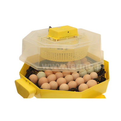 Inkubator do jaj iBator Home z silnikiem, automatyczny obrót jaj + klujnik