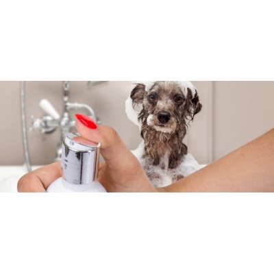 SZAMPON HIPOALERGICZNY DLA Psa PSÓW 250 ML PREMIUM