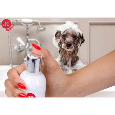 Szampon dla Yorka, York Premium 250 ml Pies