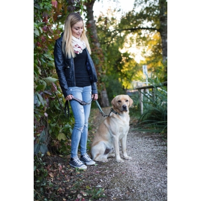 Smycza dla psa 200 cm x 20 mm odblaskowa Premium