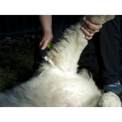 TRYMER flicak do kołtunów usuwa martwy włos 12 noży