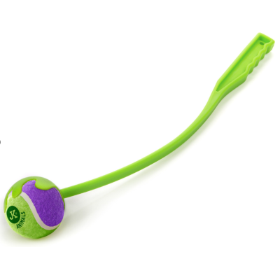 Aport z piłką, zabawka dla psa