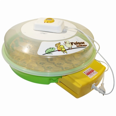 Inkubator do jaj AUTO z silnikiem, automatyczny obrót jaj + klujnik PUISOR High +