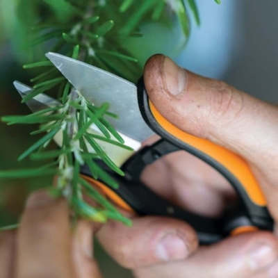 Nożyczki Sekator do ziół kwiatów warzywa zioła SP220