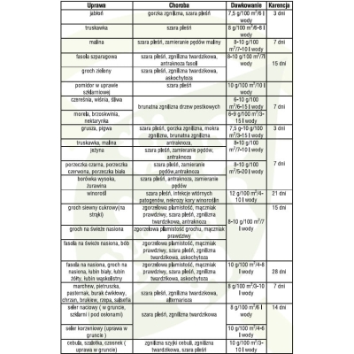 SWITCH 62,5 WG ZWALCZA CHOROBY GRZYBOWE 10g