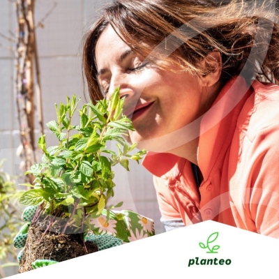 Nawóz organiczny do ZIÓŁ 1kg Planteo