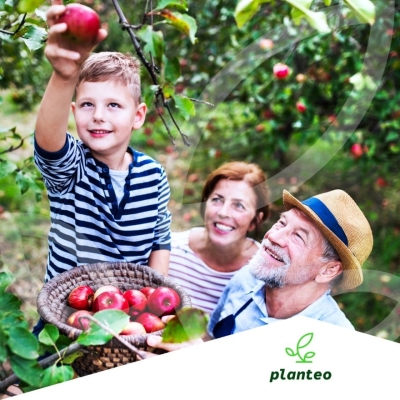 BIO NAWÓZ DO winogron porzeczek owoców 1L Planteo