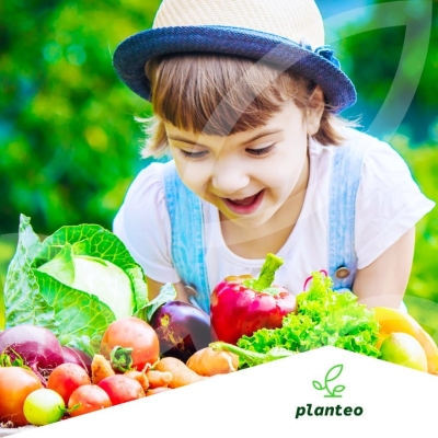 NAWÓZ do WARZYW i ROZSAD 1 L Planteo