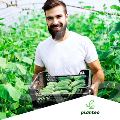 NAWÓZ POD WARZYWA NATURALNY 5L Eko Planteo