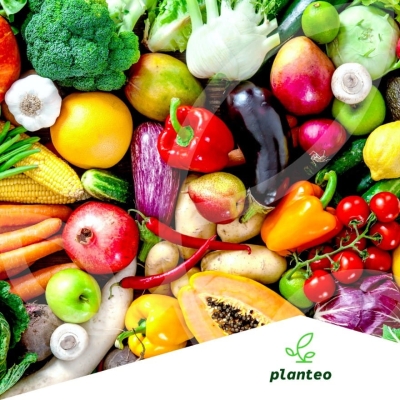 NAWÓZ POD WARZYWA NATURALNY 5L Eko Planteo