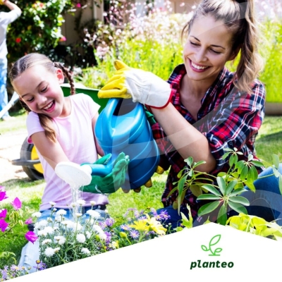 BIO NAWÓZ DO KWIATÓW CEBULOWYCH TULIPANÓW, Róż, Roślin Kwitnących Planteo