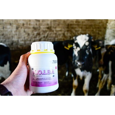 OPRYSK ŚRODEK NA MUCHY Kolba 500 ml Kerbl