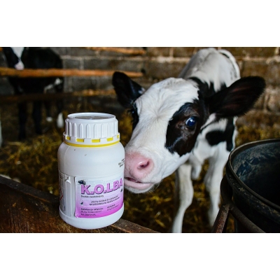 OPRYSK ŚRODEK NA MUCHY Kolba 500 ml Kerbl