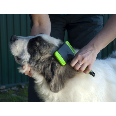 SZCZOTKA PUDLÓWKA 3w1 z 2 GRZEBIENIAMI