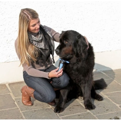 Zgrzebło dla psa, kota, królika