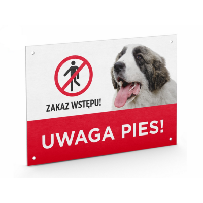 TABLICZKA TABLICA UWAGA PIES, ostrzegawcza !