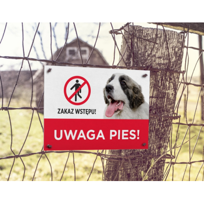TABLICZKA TABLICA UWAGA PIES, ostrzegawcza !