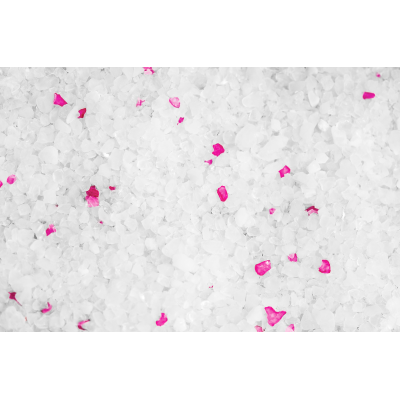 ŻWIREK SILIKONOWY PREMIUM DLA KOTA Calitti 3,8 L