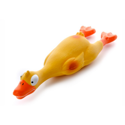 Kaczka zabawka dla psa, lateksowa pies 23 cm