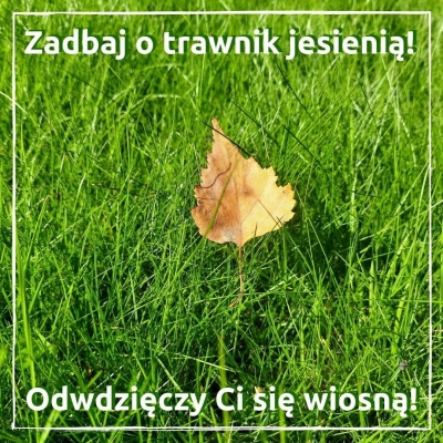 BiOgardena Jesienny Nawóz Do Trawników Trawy 8kg