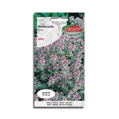 Macierzanka Piaskowa purpurowa nasiona kwiatów