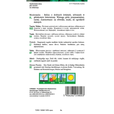 Macierzanka Piaskowa purpurowa nasiona kwiatów