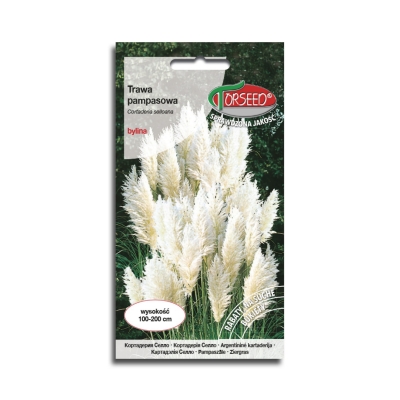 Trawa ozdobna Pampasowa biała