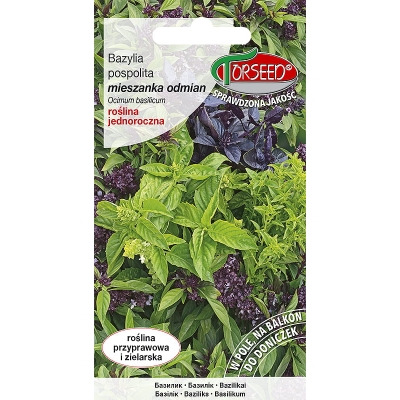 Bazylia - mieszanka odmian nasiona
